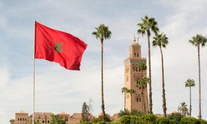 Morocco Begins Construction on First Legal Cannabis Lab (Morocco)