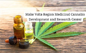 Social activist initiates petition to establish Volta Region as a medical cannabis development and research center