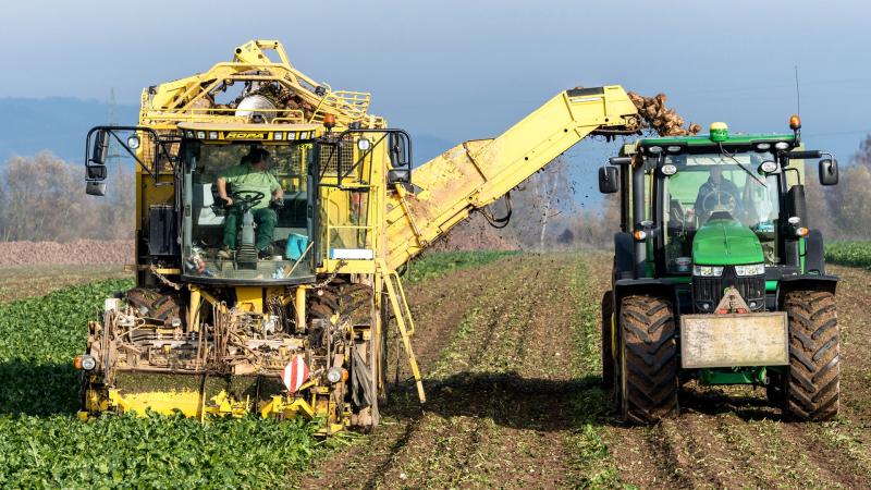 ANNOUNCEMENT: One Time Funding Opportunity Available – Gauteng Department of Agriculture, Rural Development and Environment