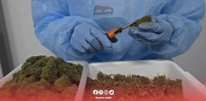 BREAKING: THE INTERNATIONAL AGRICULTURAL EXHIBITION – MOROCCAN CANNABIS