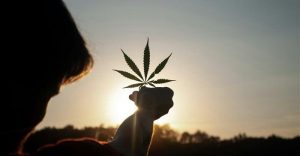 BREAKING: South Africa – Cannabis for Private Purposes Bill is under consideration today