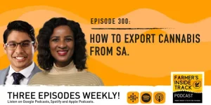 Breaking: Insight into the Export of Cannabis from South Africa